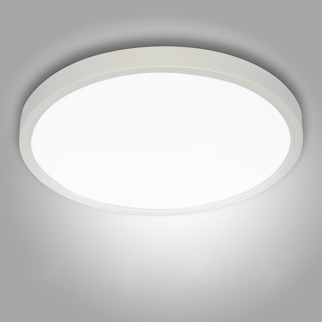 16W/20W/24W LED Ceiling Down Light