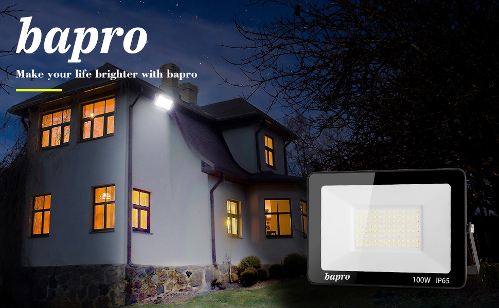 Probapro LED Security light